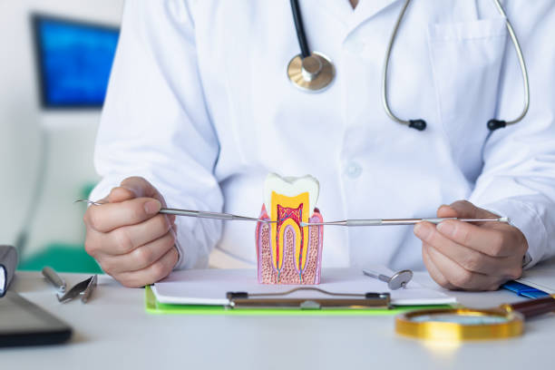 Best Tooth Infection Emergency Dentist  in Youngsville, PA
